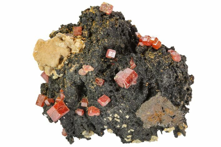 Red Vanadinite Crystals On Manganese Oxide - Morocco #103571
